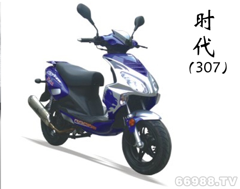 雷克風(fēng)火輪時(shí)代(307)FHL150T-12S摩托車